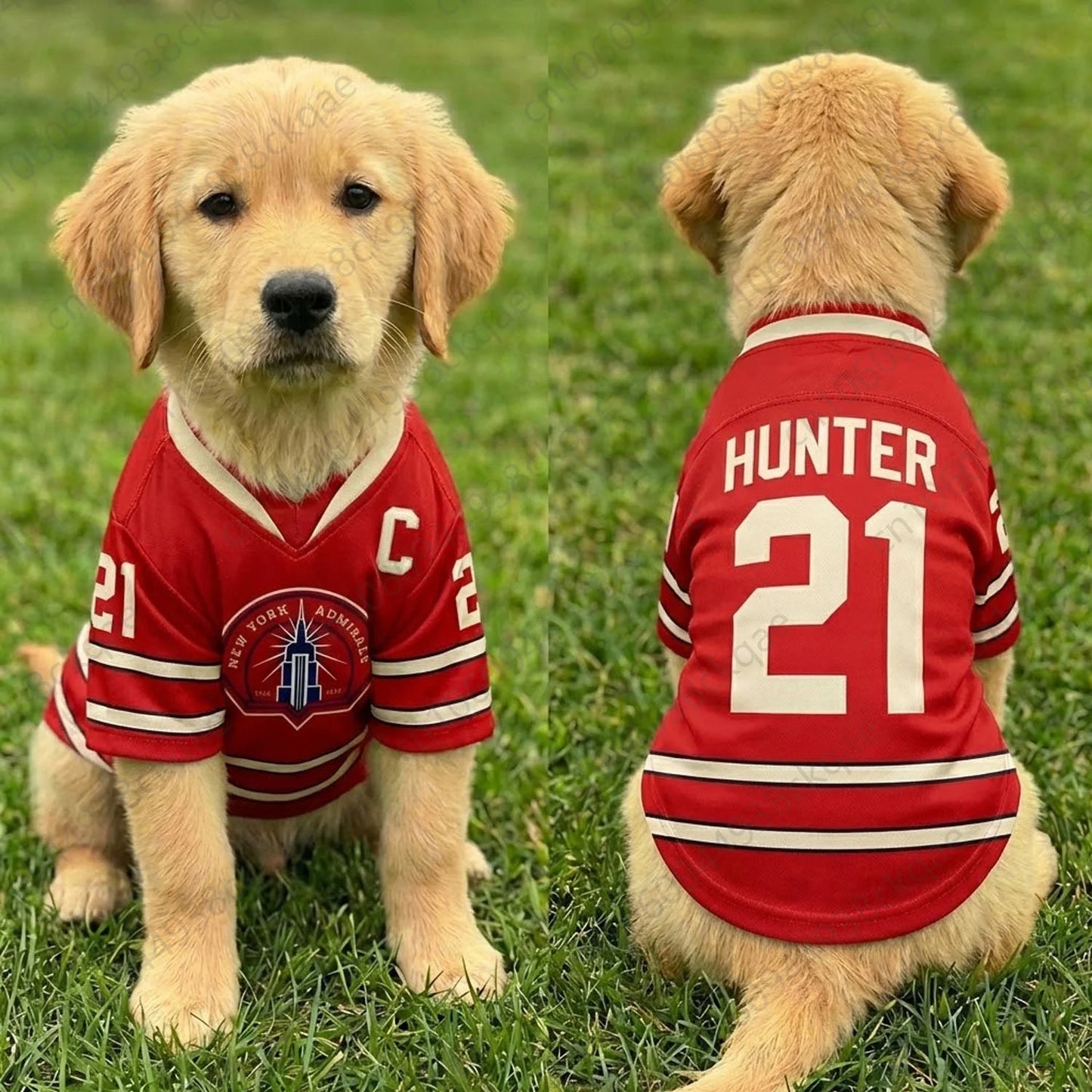 Rozanov 81 Dog Jersey Heated Rivalry Pet Shirt Boston Raiders Hockey Vest Puppy