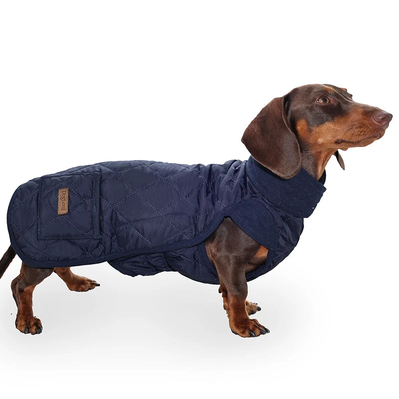 Winter Dog Coat for Small Short-Leg Dogs