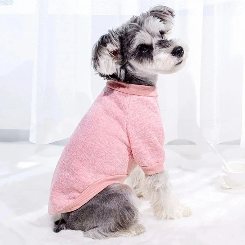 Fashion Pet Hoodies: Warm & Cute for Dogs & Cats