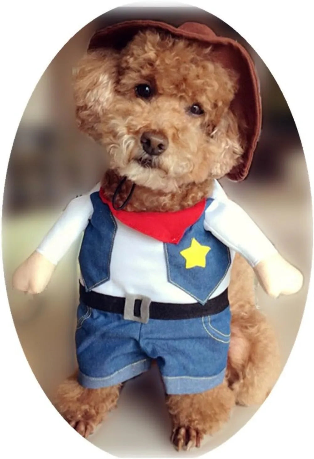 Cowboy Pet Costume with Hat – Halloween Outfit for Cats & Small Dogs