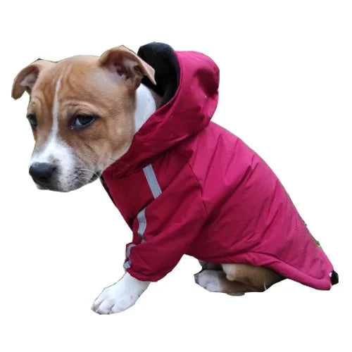 Dog Waterproof Warm Coat, Cotton, Hooded Jacket, Reflective