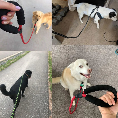 Pet Leash Reflective Strong Dog Leash 1.5M Long with Comfortable Padded Handle