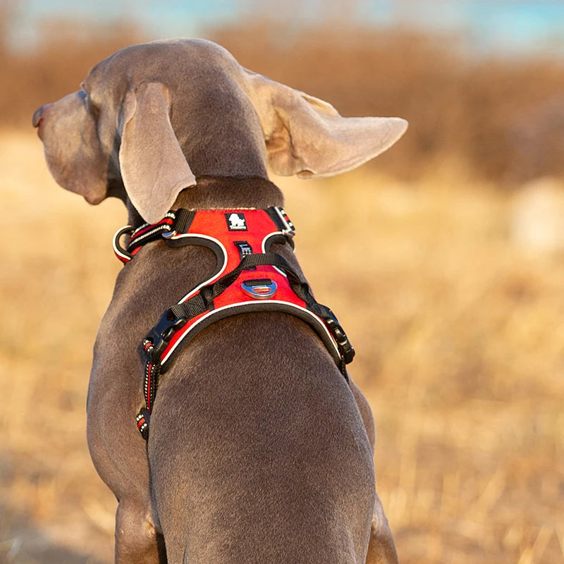 Reflective Nylon Dog Harness, No Pull Adjustable Medium & Large Dogs