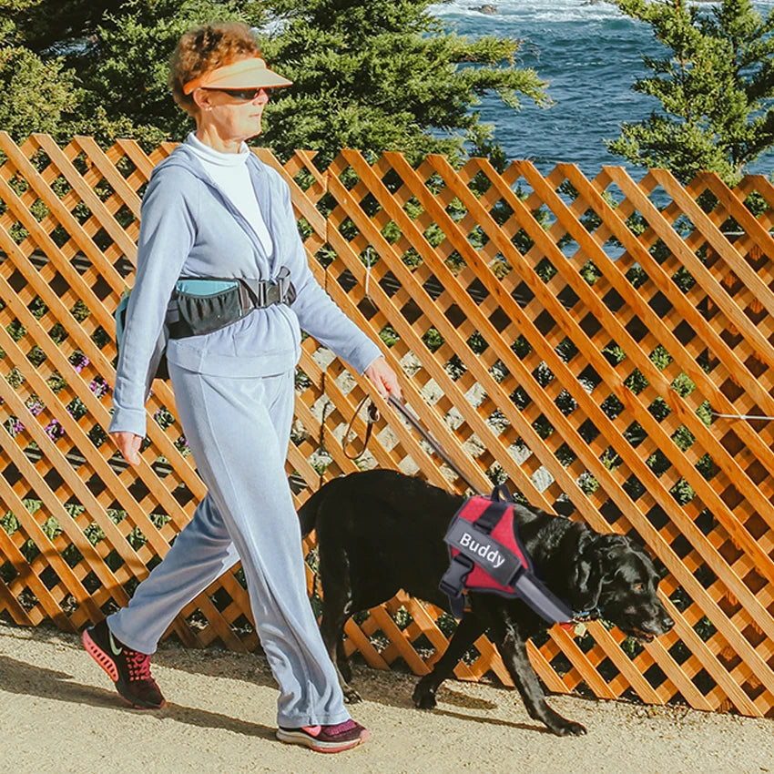 Personalized Dog Harness NO PULL, Reflective Adjustable, ID custom Dog Harness Vest for Small Large Dogs