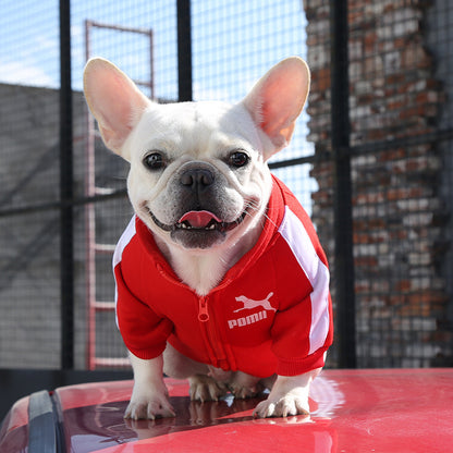 Manufacturer Customizes Pet Clothes for Autumn and Winter, Warm Trendy Brand Sweatshirts with Letters for Dogs and Cats, Small, Medium and Large Dogs