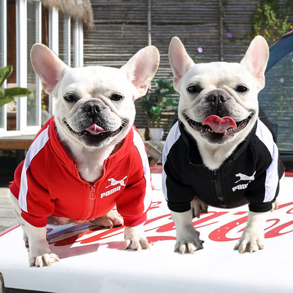 Manufacturer Customizes Pet Clothes for Autumn and Winter, Warm Trendy Brand Sweatshirts with Letters for Dogs and Cats, Small, Medium and Large Dogs