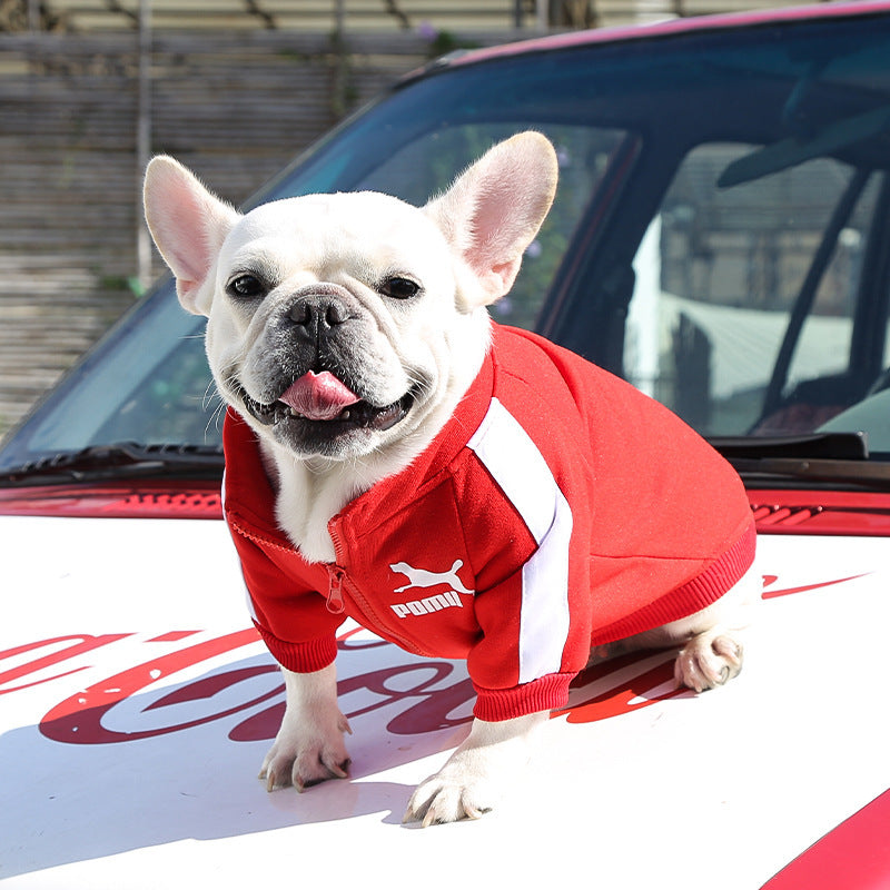 Manufacturer Customizes Pet Clothes for Autumn and Winter, Warm Trendy Brand Sweatshirts with Letters for Dogs and Cats, Small, Medium and Large Dogs