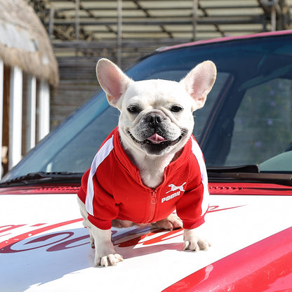 Manufacturer Customizes Pet Clothes for Autumn and Winter, Warm Trendy Brand Sweatshirts with Letters for Dogs and Cats, Small, Medium and Large Dogs