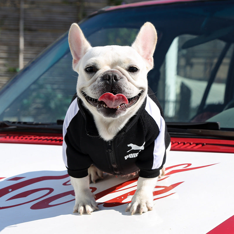 Manufacturer Customizes Pet Clothes for Autumn and Winter, Warm Trendy Brand Sweatshirts with Letters for Dogs and Cats, Small, Medium and Large Dogs