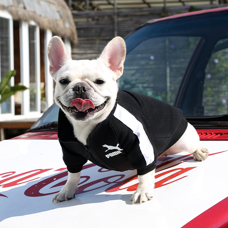Manufacturer Customizes Pet Clothes for Autumn and Winter, Warm Trendy Brand Sweatshirts with Letters for Dogs and Cats, Small, Medium and Large Dogs