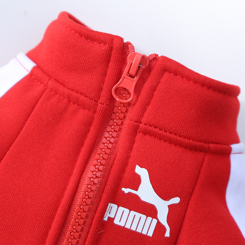 Manufacturer Customizes Pet Clothes for Autumn and Winter, Warm Trendy Brand Sweatshirts with Letters for Dogs and Cats, Small, Medium and Large Dogs
