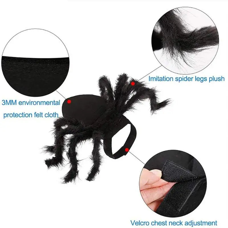Spider Costume For Dogs & Cats