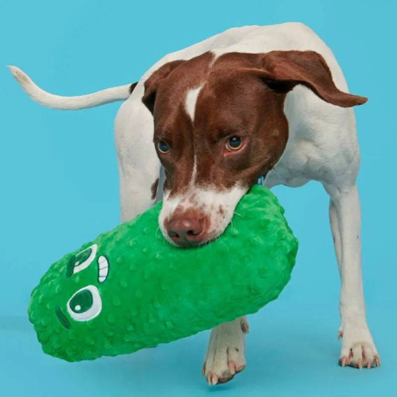 Big Dill Bill Pickle Dog Toy - Green Packed With Fluff