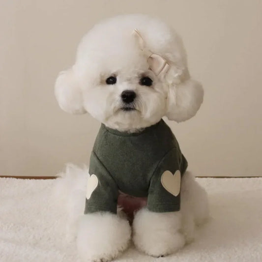 Love Winter Warm Pet Dog Clothes, Base Shirt Cute Teddy Bear