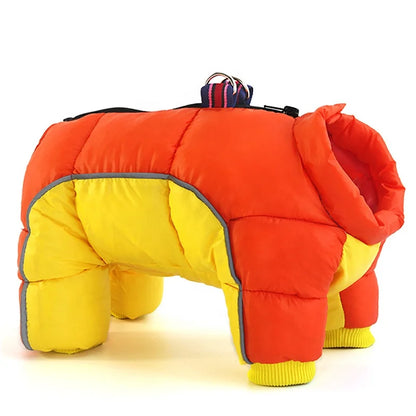 Warm Dog Jacket, Waterproof, several colors and designs