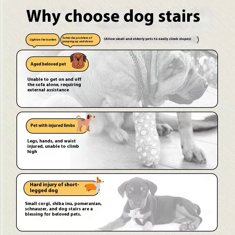 1pc Pet Stairs for Sofa & Bed, 2/3 Step Foam Ramp for Small Senior Dogs, Portable Non-Slip Steps To Relieve Joints