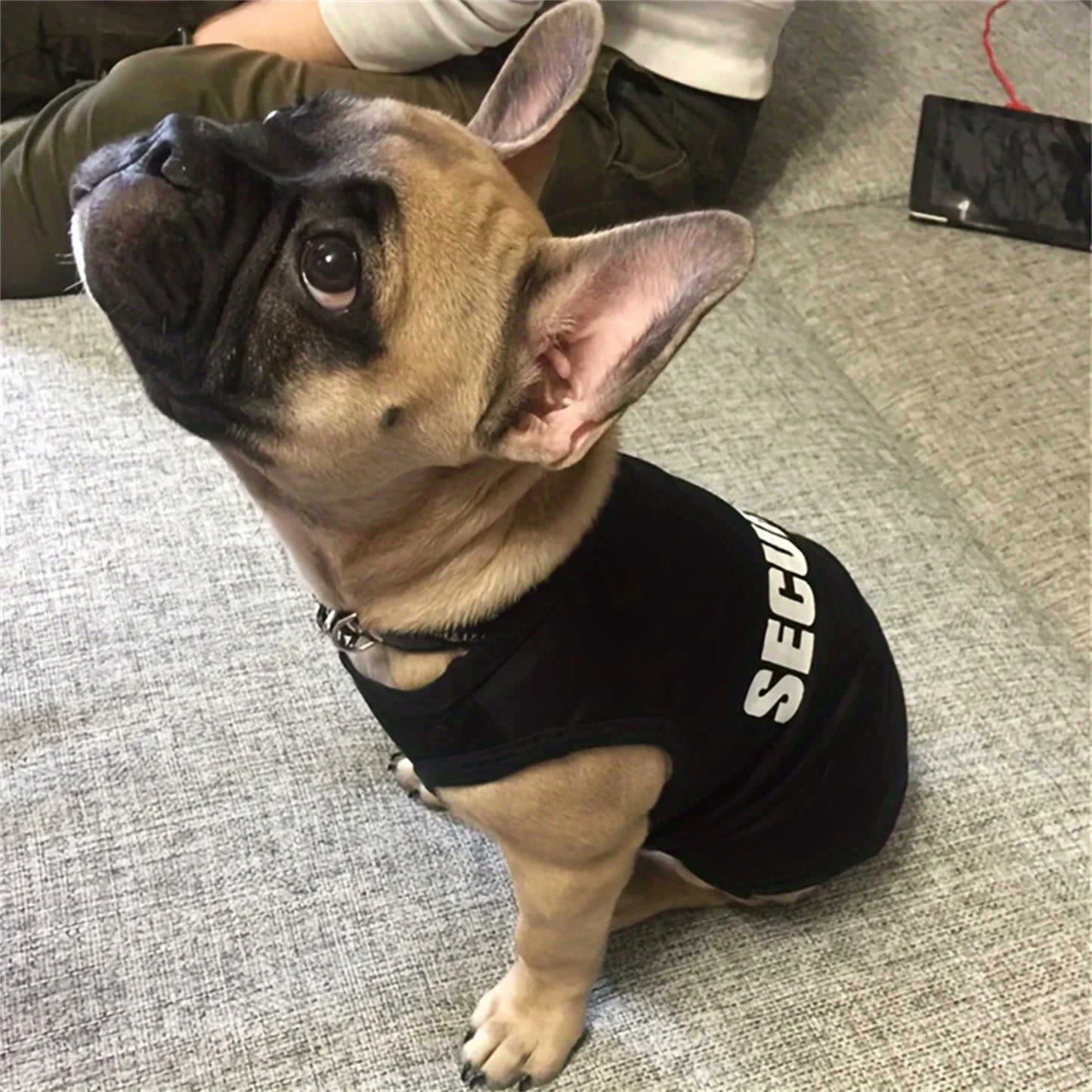 "Security" Clothing for Dogs Summer Pet Clothes Vest for Dogs or Cats, Low Price Pets T-shirt Costume