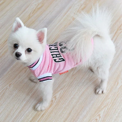 Summer Mesh Sport Dog Jersey, Breathable Pet T-Shirt, Lightweight & Comfortable