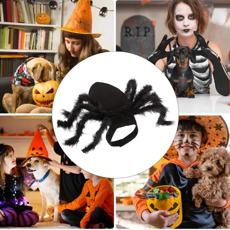 Spider Costume For Dogs & Cats