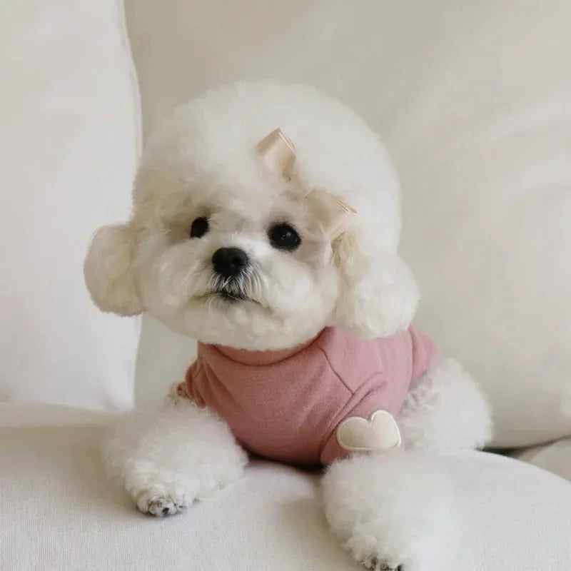 Love Winter Warm Pet Dog Clothes, Base Shirt Cute Teddy Bear