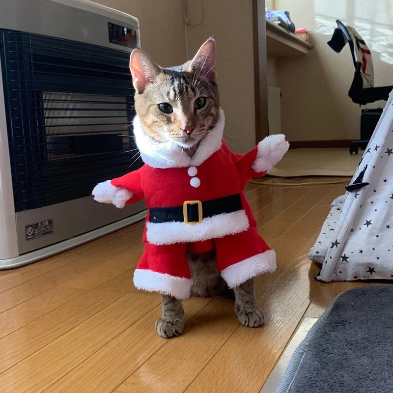 Cute Dog Santa Claus Outfit Christmas Costume for Small Dogs & Cats