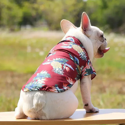 Hawaiian Style Pet Shirt, Dog/Cat Shirts for Small - Medium