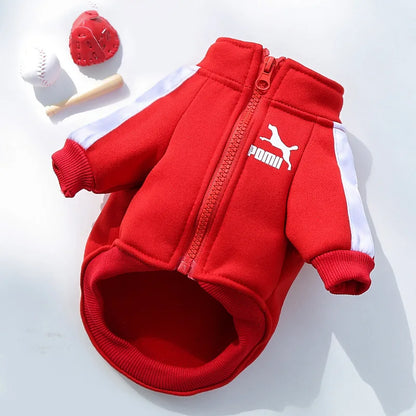 Manufacturer Customizes Pet Clothes for Autumn and Winter, Warm Trendy Brand Sweatshirts with Letters for Dogs and Cats, Small, Medium and Large Dogs