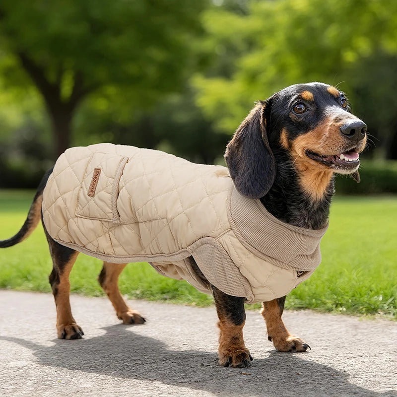 Winter Dog Coat for Small Short-Leg Dogs