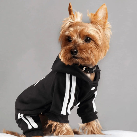 Dog Jumpsuit, Sports Suit Spring for Small Dogs