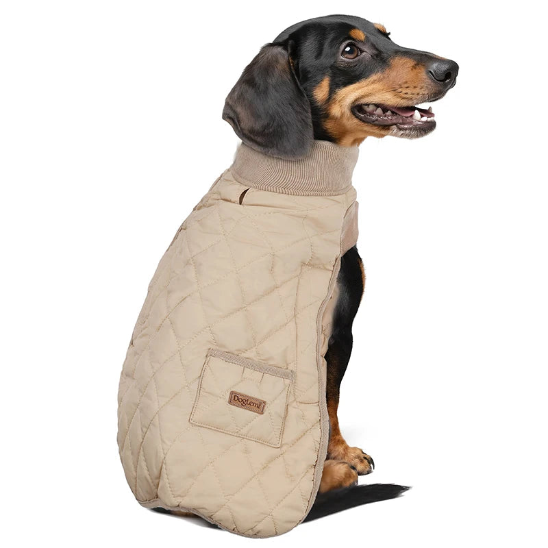 Winter Dog Coat for Small Short-Leg Dogs