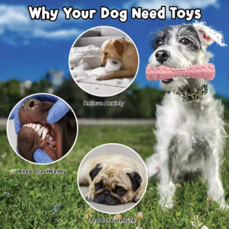 Dog Teething Toy, Teeth Cleaner & Chew Stick, Leak-Proof