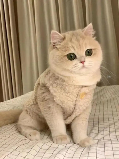 Cat clothes, warm lamb wool vest, autumn and winter pet winter clothes