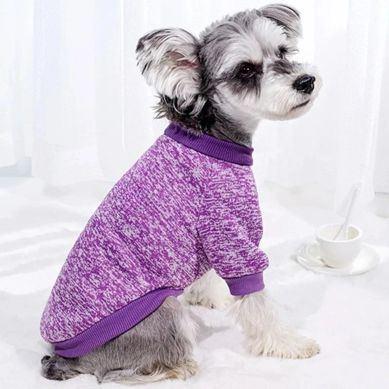 Fashion Pet Hoodies: Warm & Cute for Dogs & Cats