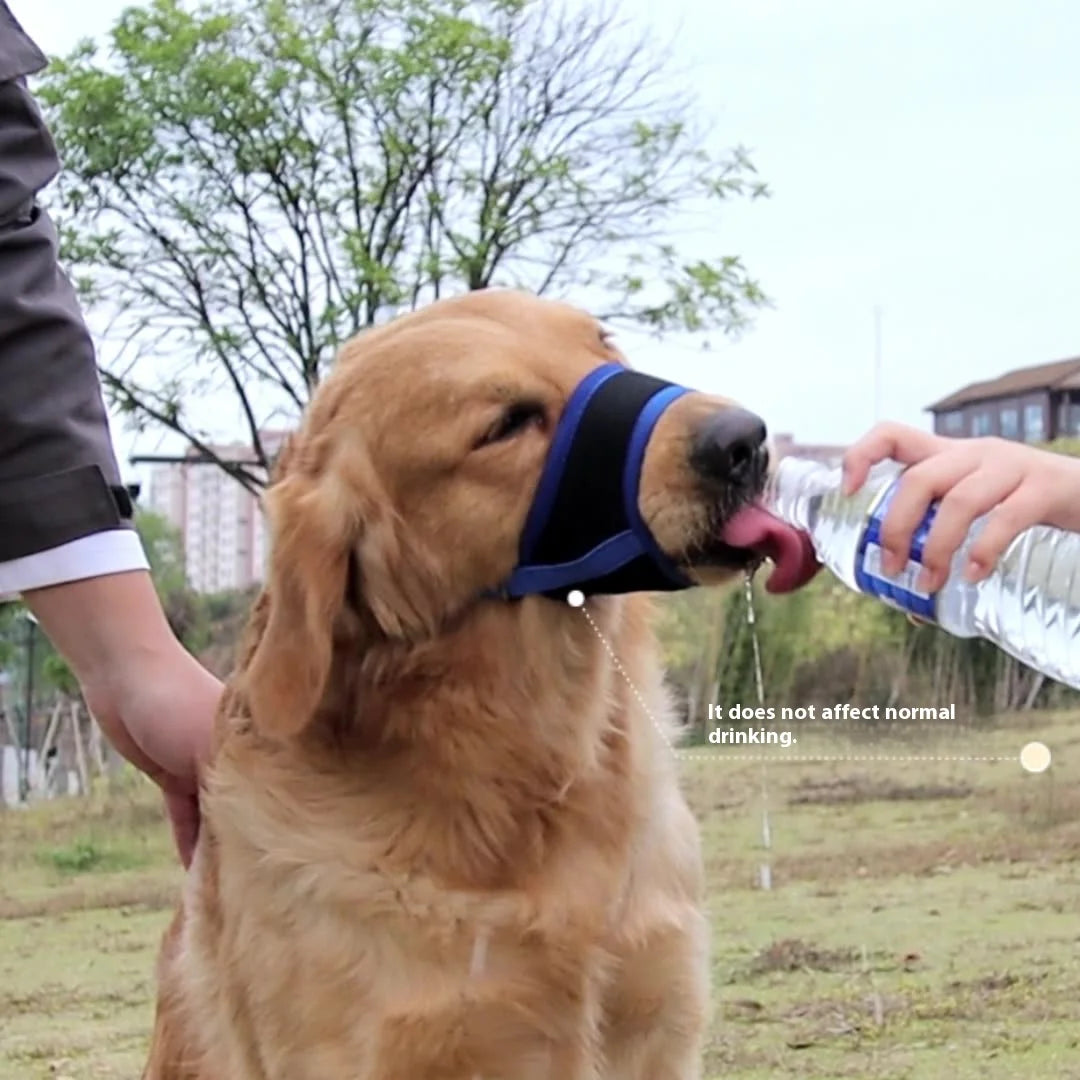 Comfortable Breathable Adjustable Dog Muzzle Anti-Bite, Anti-Eating Pet Muzzle for Small - Large Dogs, Allows Drinking