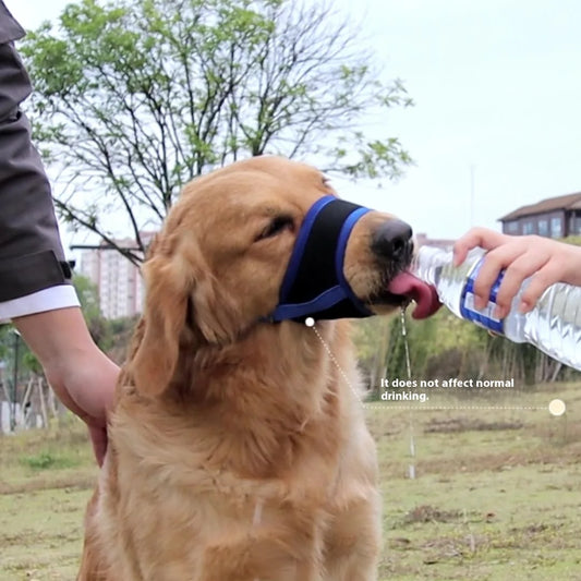 Comfortable Breathable Adjustable Dog Muzzle Anti-Bite, Anti-Eating Pet Muzzle for Small - Large Dogs, Allows Drinking