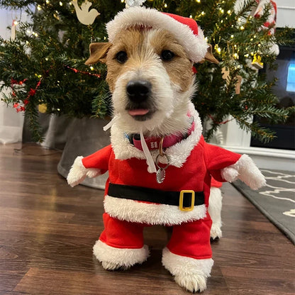 Cute Dog Santa Claus Outfit Christmas Costume for Small Dogs & Cats