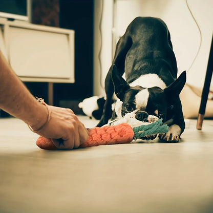 3pcs Carrot-Shaped Dog Chew Toys, Durable Polyester, Interactive