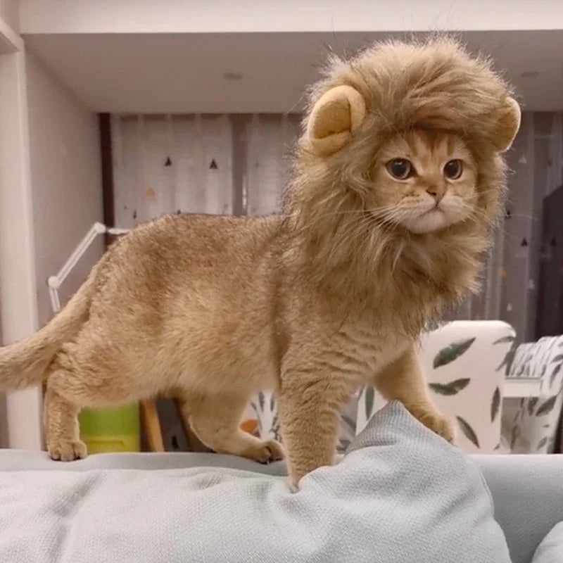 Cat Hairpiece Humorous Lion Mane Headgear for Small Dogs and Cats, Adjustable