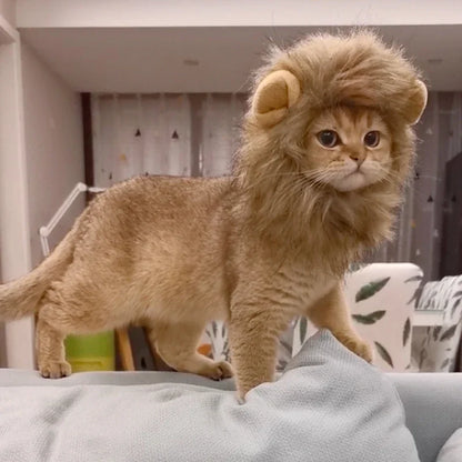 Cat Hairpiece Humorous Lion Mane Headgear for Small Dogs and Cats, Adjustable