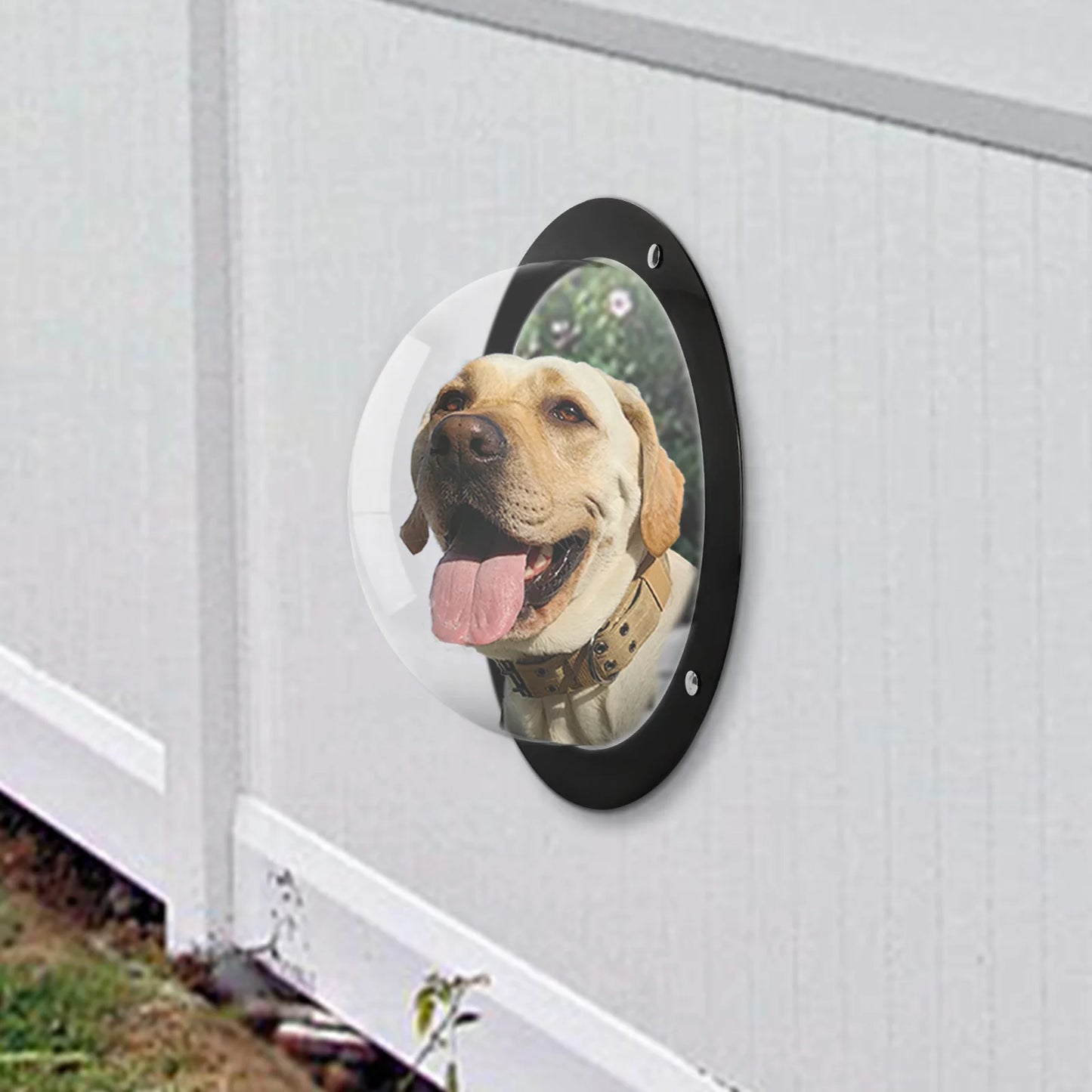 Acrylic Dome Dog Porthole Window Clear View Bubble Peek Window Dog Window for Doggie/Cat