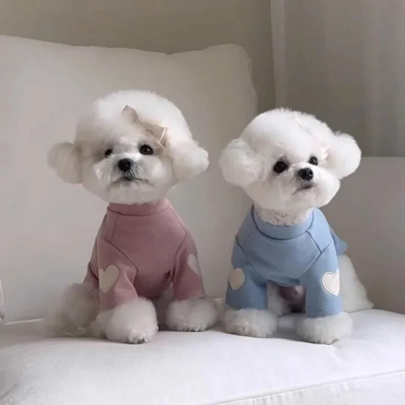 Love Winter Warm Pet Dog Clothes, Base Shirt Cute Teddy Bear