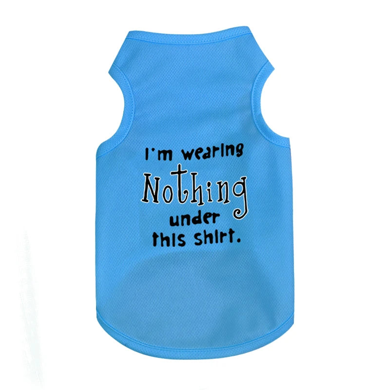 Pet Cooler Vest: Lightweight and breathable summer gear for your dog or cat on hot summer days"