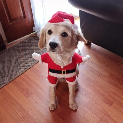 Cute Dog Santa Claus Outfit Christmas Costume for Small Dogs & Cats