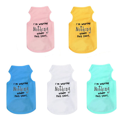 Pet Cooler Vest: Lightweight and breathable summer gear for your dog or cat on hot summer days"