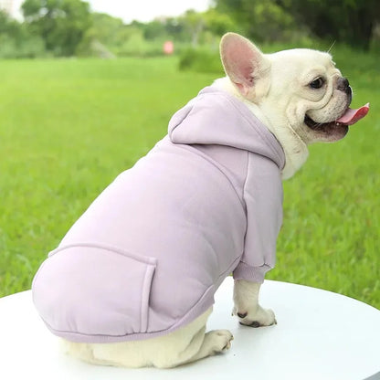 Autumn/Winter Pet Cotton Hooded Sweatshirts for Small Dogs & Cats