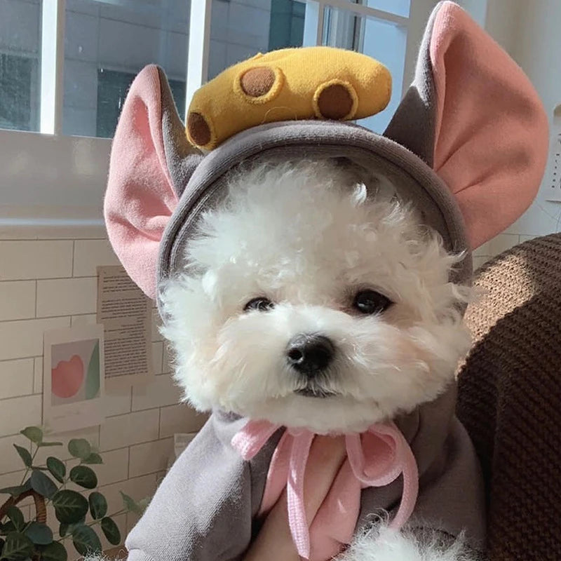 Winter Dog Hoodies, New Arrival XS-S
