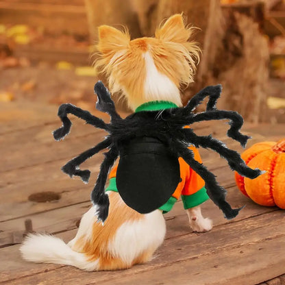 Spider Costume For Dogs & Cats