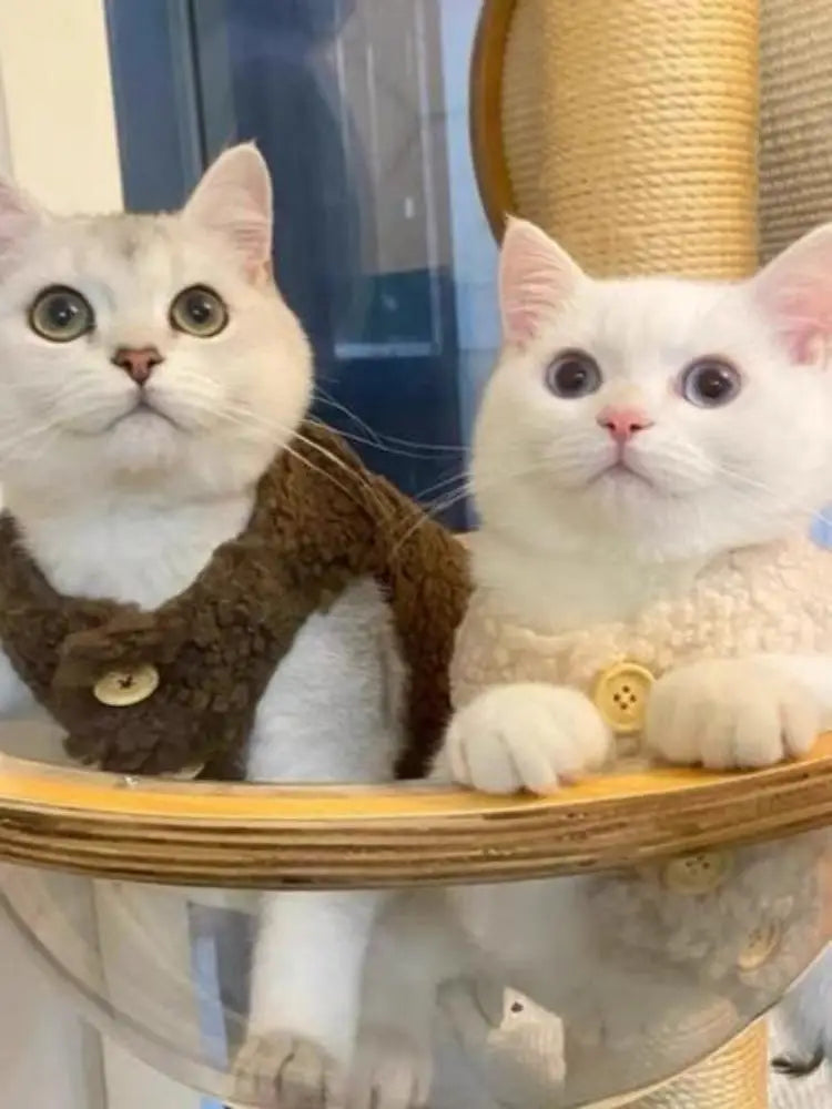 Cat clothes, warm lamb wool vest, autumn and winter pet winter clothes
