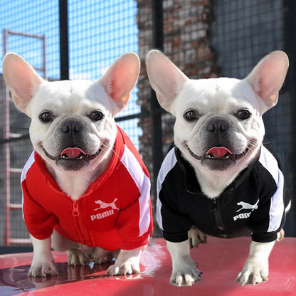 Manufacturer Customizes Pet Clothes for Autumn and Winter, Warm Trendy Brand Sweatshirts with Letters for Dogs and Cats, Small, Medium and Large Dogs