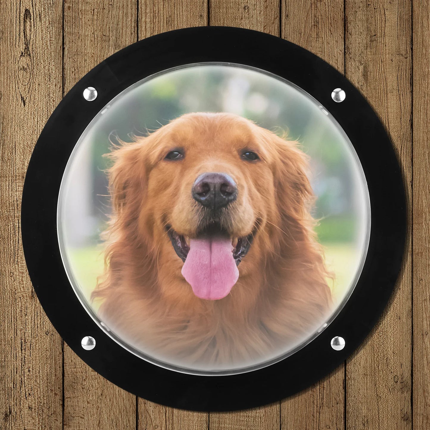 Acrylic Dome Dog Porthole Window Clear View Bubble Peek Window Dog Window for Doggie/Cat